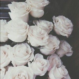 Meet your Posher, Sonia